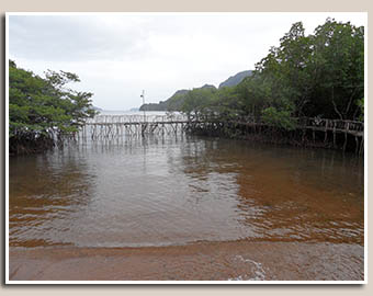 Maquinit Hot Spiring